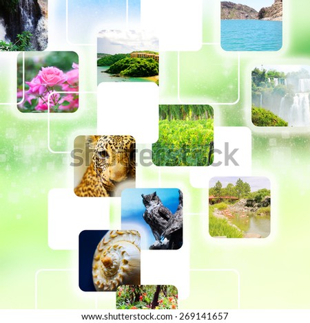 Ecology concept, planet with nature pictures