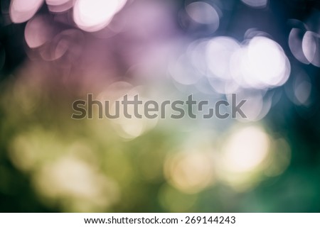abstract photo of light burst among trees and glitter bokeh lights. image is blurred and filtered.