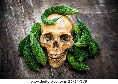 still life with skull human with bitter gourd on old wooden