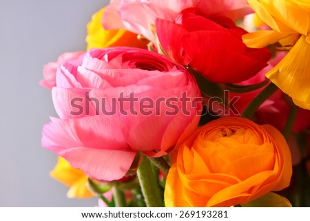 close up photo of spring flowers