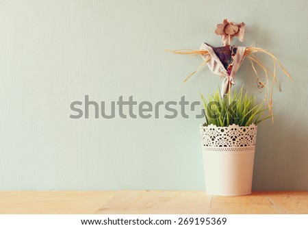 vintage Flower pot and Scarecrow against mint wall
