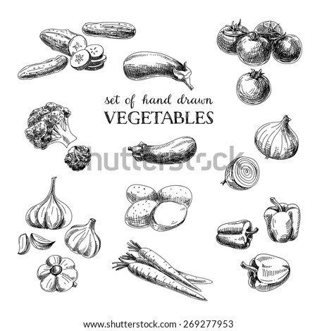 Vector hand drawn sketch vegetable set. Eco foods.Vector illustration.
