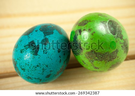 Couple of colored common quail eggs painted in blue and green with natural spot pattern shot as macro image on wooden background with vignette effect, symbolizing equality and tolerant attitude