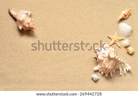 Summer beach. Seashell on the sand. Royalty-Free Stock Photo #269442728