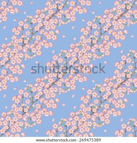Spring. Background illustration of cherry blossoms.  / Seamless pattern. Blue background.