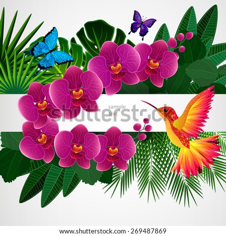 Floral design background. Orchid flowers with bird, butterflies.