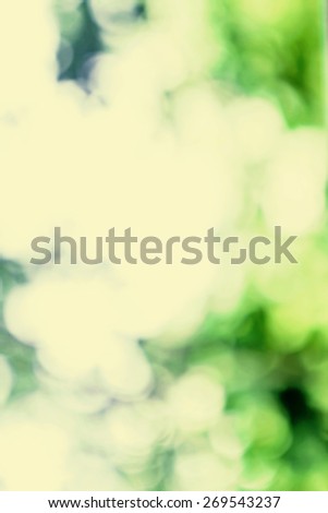 Natural Spring or summer Green and Yellow sun beam  background with abstract defocused lights bokeh 