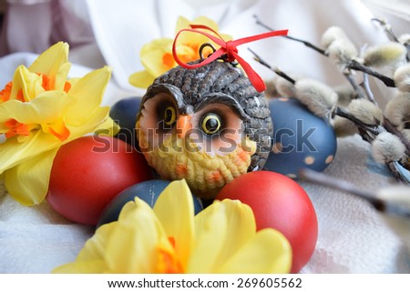 Owl on eggs
