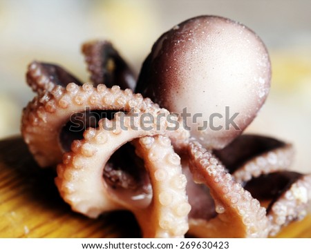 Macro picture of a octopus.