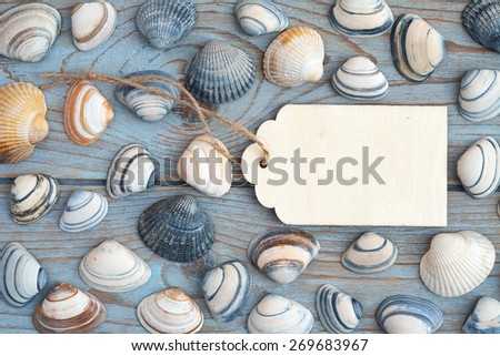 blue grey knotted old wood with sea shells and wooden empty label