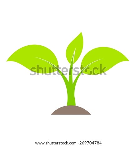 Spring plant growing from soil. Vector illustration