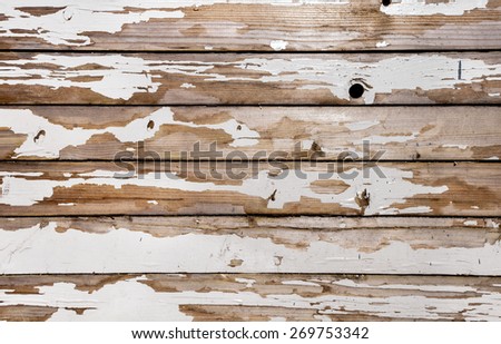Background textures for design - background wooden texture