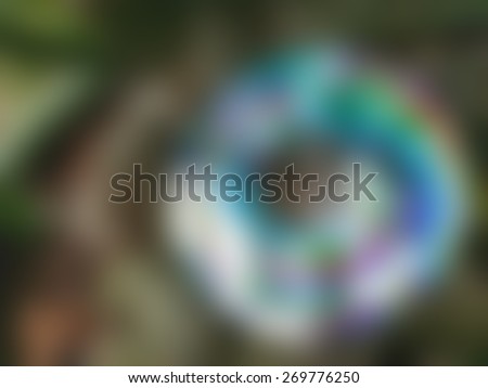 Blurred Idea shot flower reflected on disc