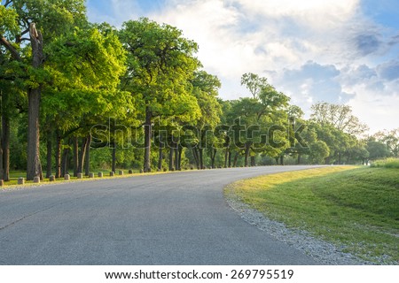 Looking down a tree lined road into the distance Royalty-Free Stock Photo #269795519
