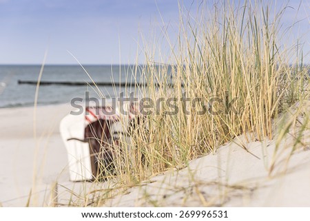 Picture of dune grass on the Baltic Sea beach with a beach chair in the background