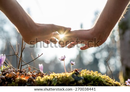 Close up Bare Hand of a Man Covering Small Flowers at the Garden with Sunlight Between Fingers. Royalty-Free Stock Photo #270038441