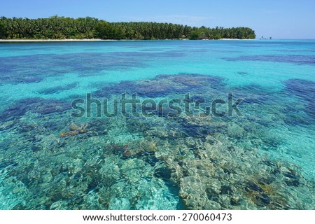 Turquoise water with coral reef below sea surface and a pristine tropical island in background, Caribbean, Cayos Zapatilla, Bocas del Toro, Panama
