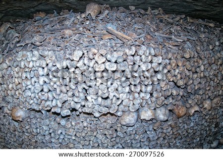 Paris Catacombs Skulls and bones walls detail 