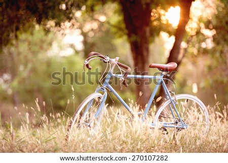 beautiful image with sport vintage Bicycle at sunset