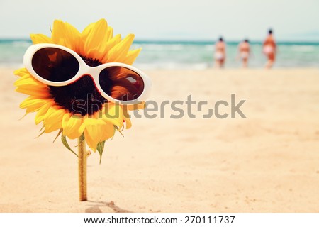 greeting card background - summer holidays