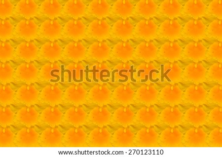 Yellow Honey fragrant orchid  background