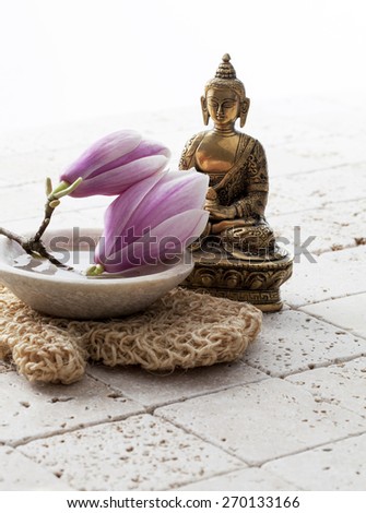 magnolia for beauty and Buddha for zen breathing