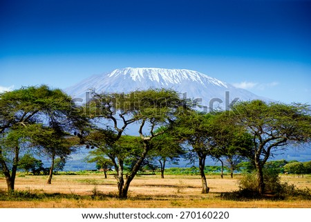 Kilimanjaro background  Royalty-Free Stock Photo #270160220