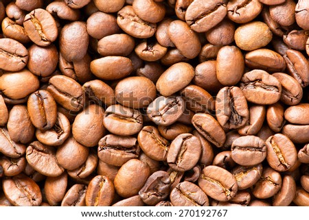Layer of roasted coffee beans isolated