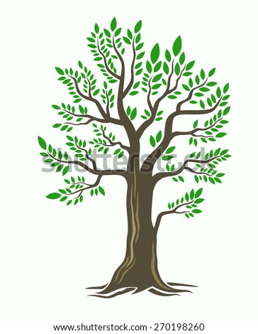 vector illustration of Tree on white background