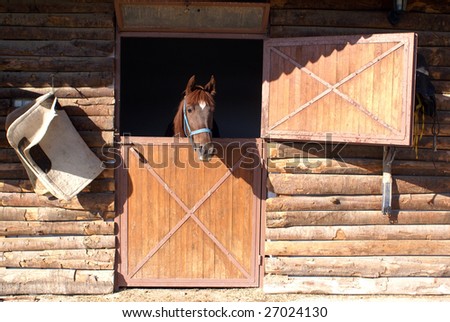 Horse in the window of barn on the farm in Turkey Royalty-Free Stock Photo #27024130