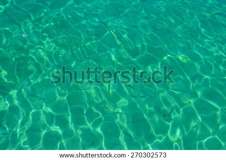 Background image of turquoise sea water with little barracudas 