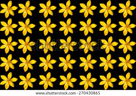 yellow flower on black background