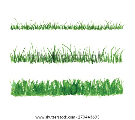 Hand drawn watercolor grass set isolated on white background. Sketch green-fodder. Grass in the sun. Green grass pattern. Abstract herb. Summer juicy thick grass collection. Spring fresh grass kit