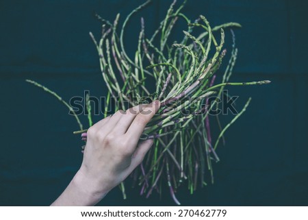 Hand holding a bunch of fresh asparagus on dark background. Toned picture