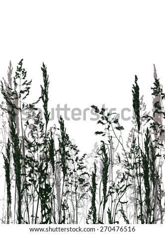 Vector silhouette of grass on the isolatad background. Wild flowers collection. Floral background. Summer floral vintage vector background. Blossoming garden color flowers on a white backdrop
