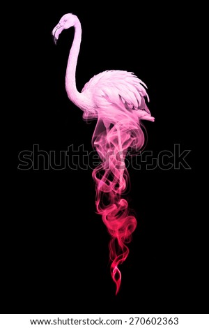 beautiful image of a flamingo.. animal kingdom. color pink. wildlife picture. great  tattoo.
love bird. tropical, zoo
