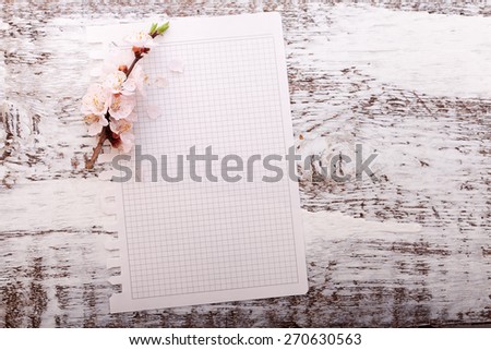 Wedding card. Flowering branch cherry on wooden background. Spring declaration of love. Selective focus.