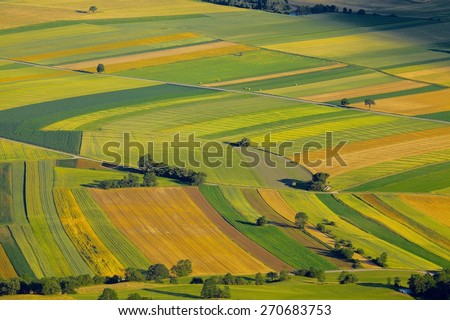Aerial view of agricultural fields Royalty-Free Stock Photo #270683753