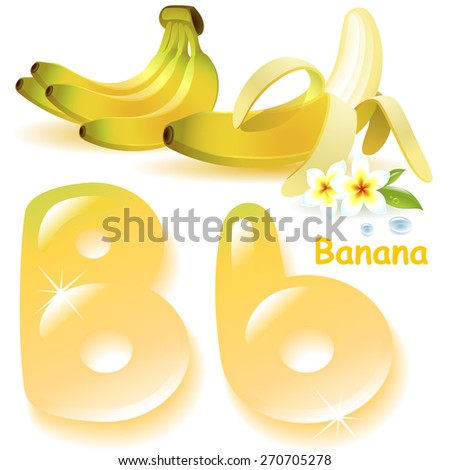 Alphabet. English capital and uppercase letter B, stylized color of banana juice. banana branch with banana peeled. vector illustration