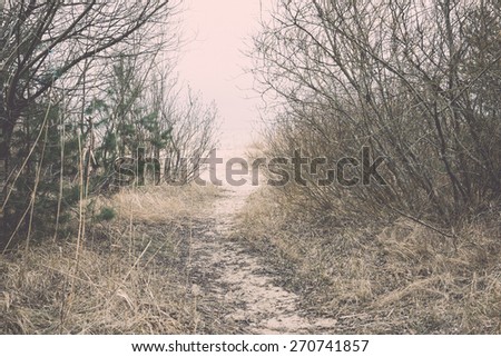 empty country road in spring with perspective and shadows - retro vintage film effect