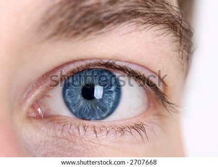 Eye from a woman. Close up picture