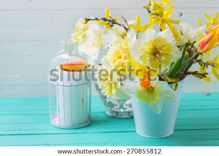 Fresh  spring yellow daffodils, tulip flowers, candle in decorative bird cage  on turquoise  painted wooden planks against white wall. Selective focus. Place for text. 