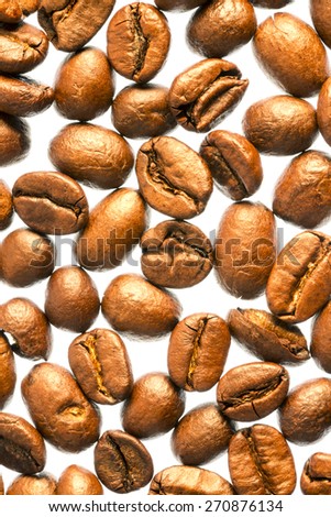 Coffee Beans isolated on white background/ Coffee Beans