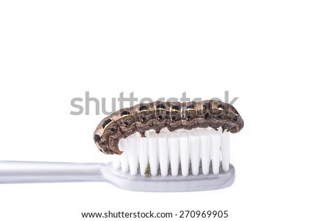 tooth brush  Surreal