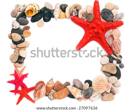 Seashells on sand picture frame