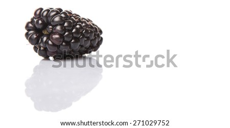 Blackberry fruit over white background