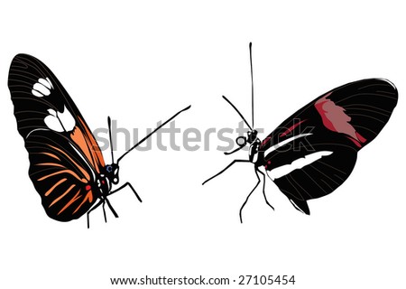 Pair of colorful butterflies sitting.