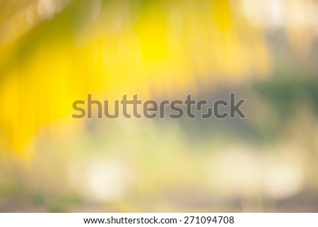 Vintage photo and Abstract blurred background.Coconut tree  in sunset warm light and lens flare