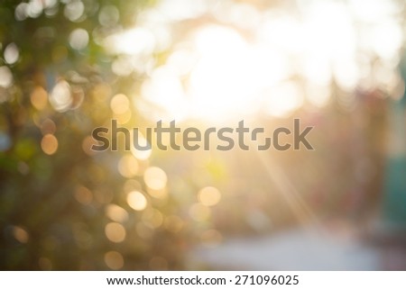 Vintage photo and Abstract blurred background.  Meadow in sunset warm light and lens flare