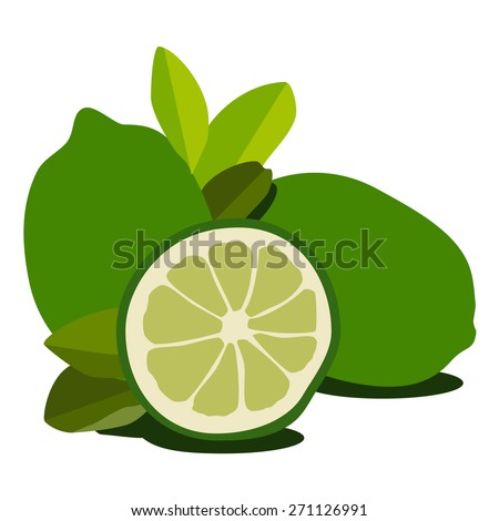 Green lime fresh fruit vector isolated. Juicy citrus, tropical fruit